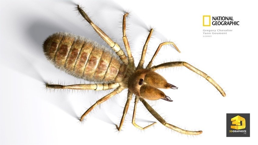 Illustration 3d scorpion en infographie 3d
